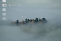 Nebelstimmung 1 ID2761