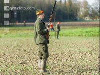Treibjagd 30