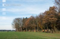 Treibjagd auf Feldern 1