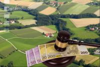 Versteigerung Grund und Boden 1