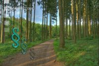 Wegerecht im Wald