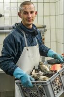 Forellen ausgenommen 