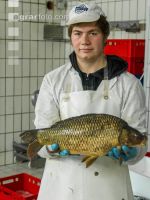 Schuppenkarpfen 3