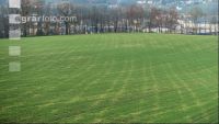 Bodenverdichtung Gerstenfeld 1