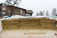 Fahrsilo Maissilage