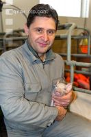 Ferkel Betreuung 40