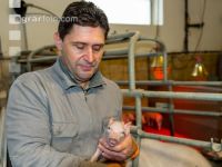 Ferkel Betreuung 41
