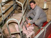 Ferkel Betreuung 57
