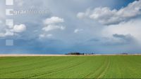 Wolkenstimmungen im April 8