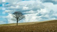 Wolkenstimmungen im April 4