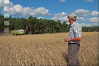 Rye harvest J 19