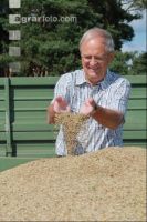 Rye harvest J 16