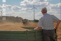 Roggen Ernte J 15