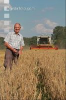 Rye harvest J 11