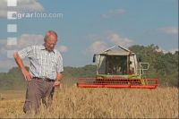 Roggen Ernte J 10