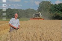 Roggen Ernte J 9