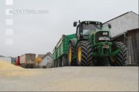Körnermais Handel J 6