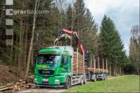 Schleifholz aufladen 1