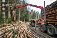 Schleifholz aufladen 2