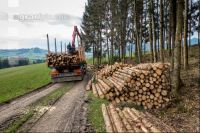 Schleifholz aufladen 3