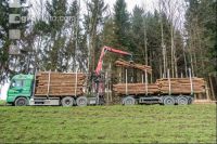 Schleifholz aufladen 5