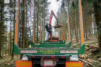 Schleifholz aufladen 8