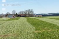 Grünland Nachsaat 109