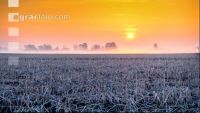 Morgenrot und Frost 1