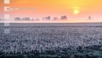 Morgenrot und Frost 2