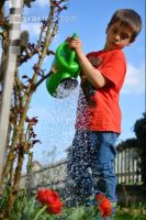 Watering 14