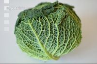 Kohl