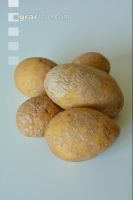 Silberschorf 1