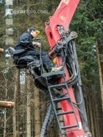 Schleifholz aufladen 6