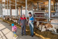Beratung im Milchviehstall 15