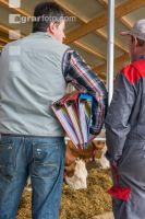 Beratung im Milchviehstall 4