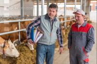 Beratung im Milchviehstall 1