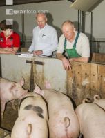 Landwirt und Berater 8