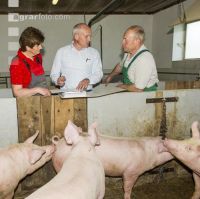 Landwirt und Berater 7