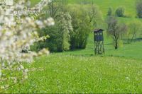 Hochstand 16