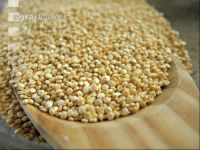 Quinoa 3