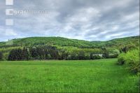 Buchenwald 27