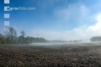 Morgennebel und Sonne 1