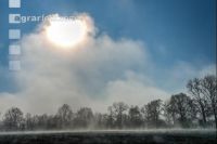 Morgennebel und Sonne 3