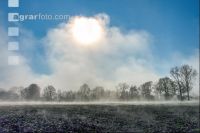 Morgennebel und Sonne 4