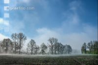 Morgennebel und Sonne 5