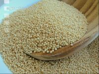 Amaranth