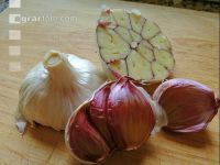 Knoblauchhälfte 3