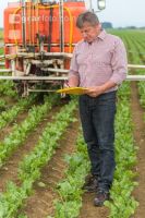 Sugar beet boron spraying 1