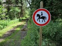 horse-riding forbidden 1