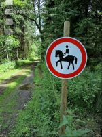 horse-riding forbidden 2